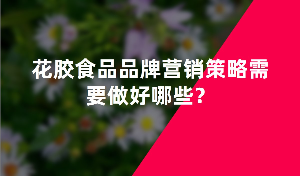花膠食品品牌營(yíng)銷(xiāo)策略需要做好哪些？