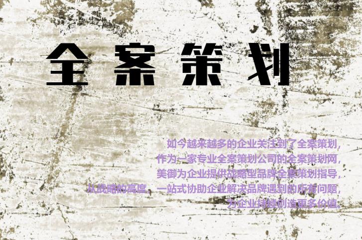 專業(yè)全案策劃網(wǎng)，為企業(yè)提供戰(zhàn)略型品牌全案策劃指導