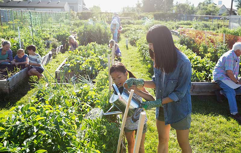 都市品牌農業(yè)越來越受消費者青睞_品牌農業(yè)