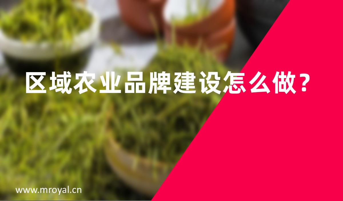 區(qū)域農(nóng)業(yè)品牌建設怎么做？