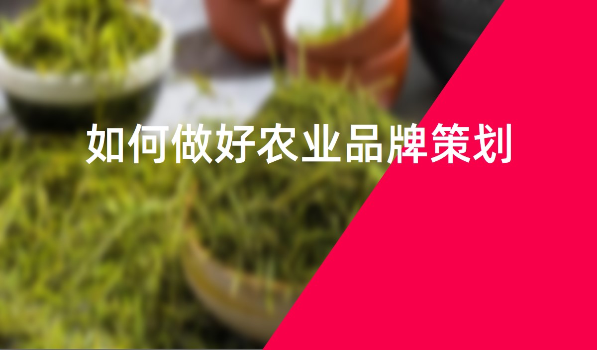 如何做好農業(yè)品牌策劃