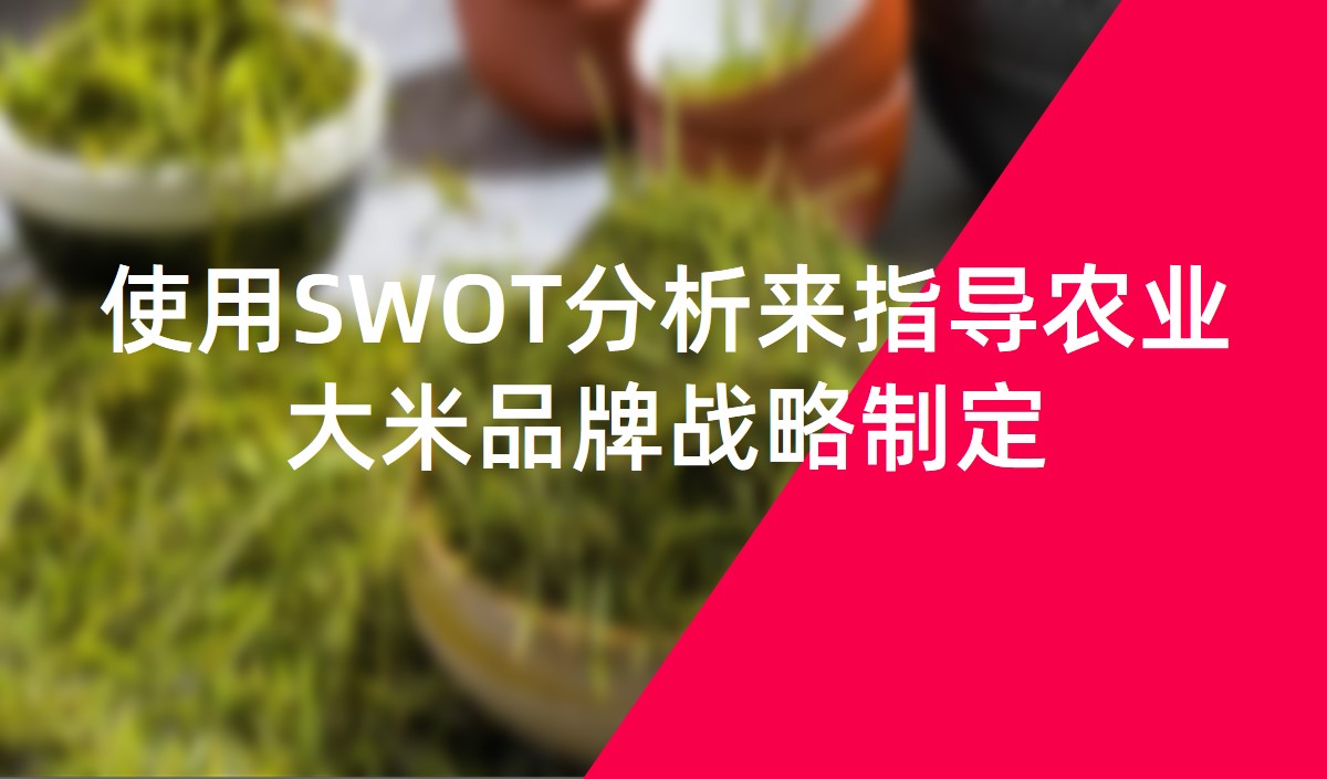 使用SWOT分析來指導農業(yè)大米品牌戰(zhàn)略制定
