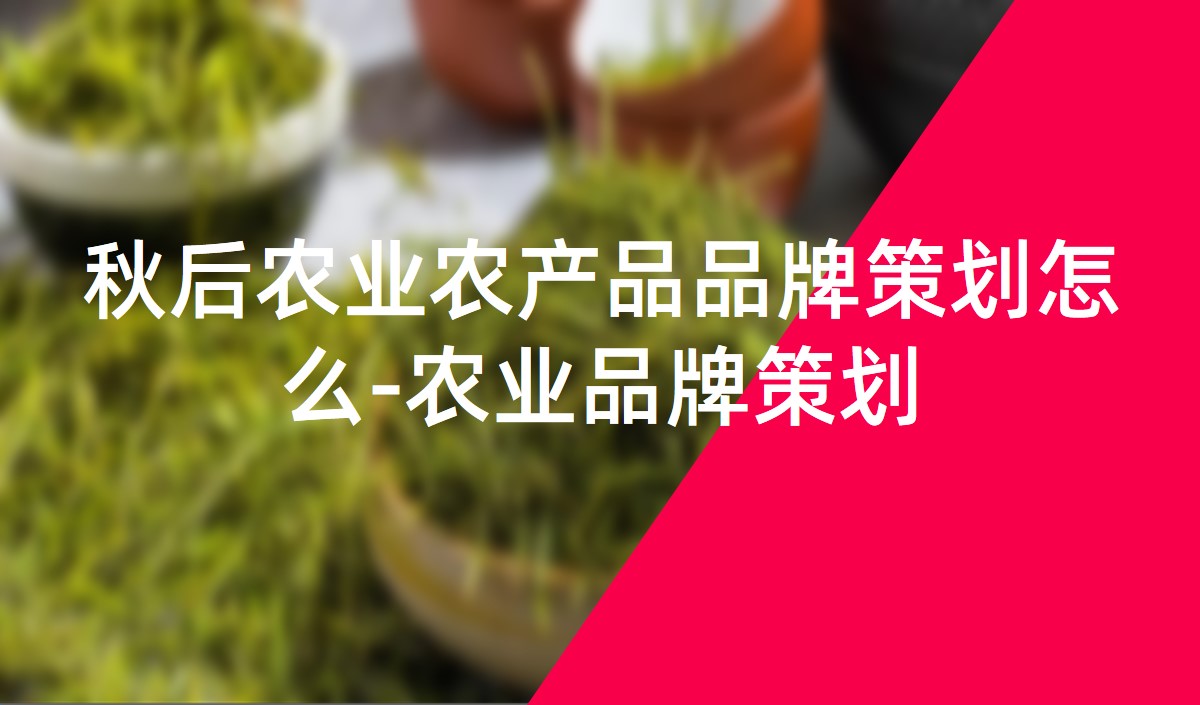 秋后農業(yè)農產品品牌策劃怎么-農業(yè)品牌策劃