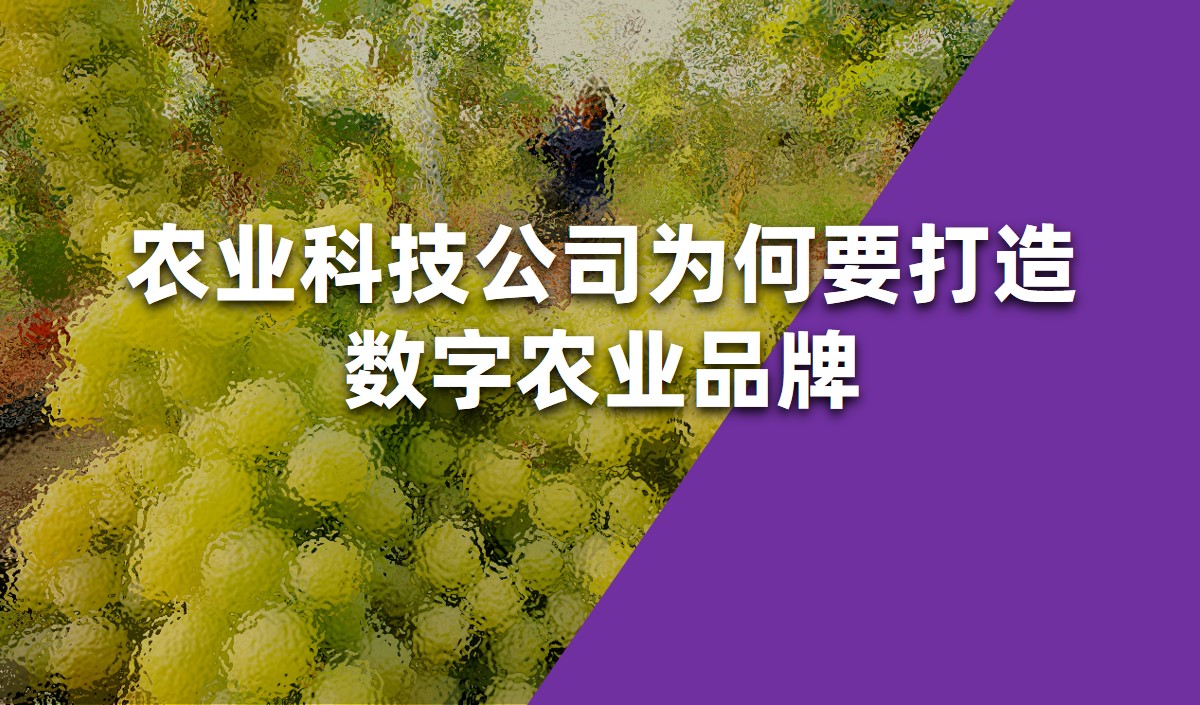 美御農業(yè)品牌策劃-農業(yè)科技公司為何要打造數字農業(yè)品牌