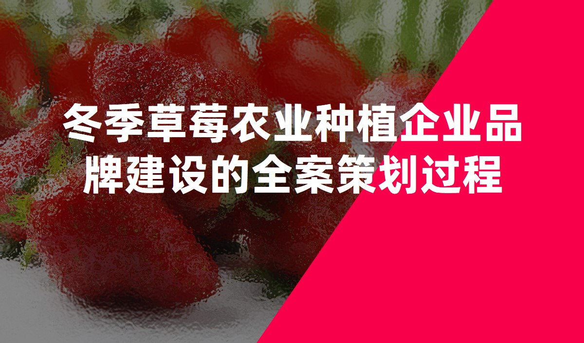 冬季草莓農業(yè)種植企業(yè)品牌建設的全案策劃過程