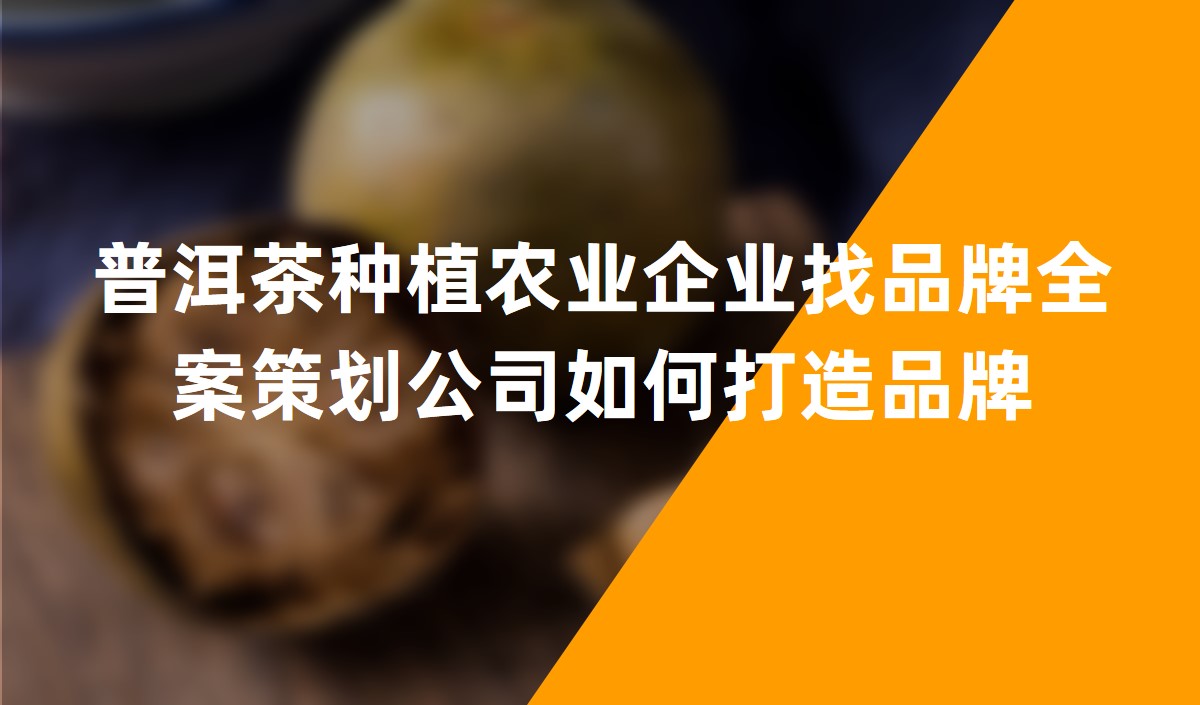 普洱茶種植農業(yè)企業(yè)找品牌全案策劃公司如何打造品牌