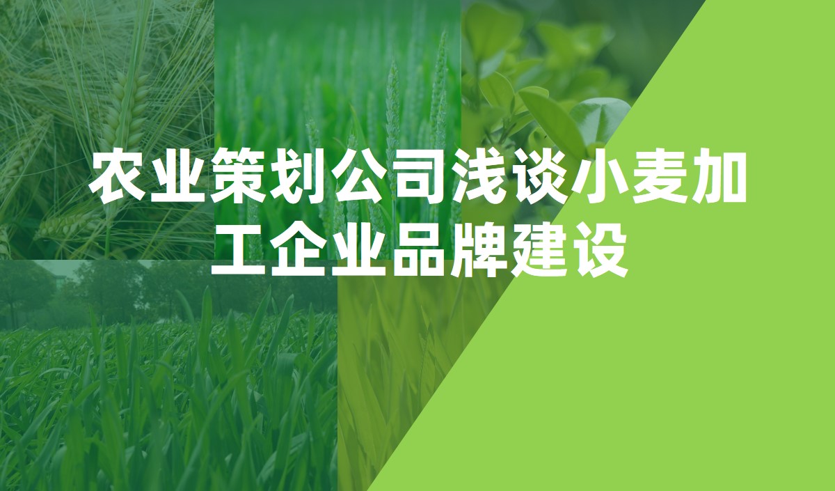 農業(yè)策劃公司淺談小麥加工企業(yè)品牌建設